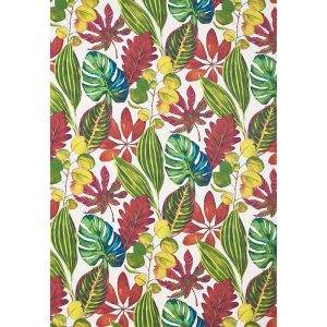 St Maarten Tropical Wallpaper